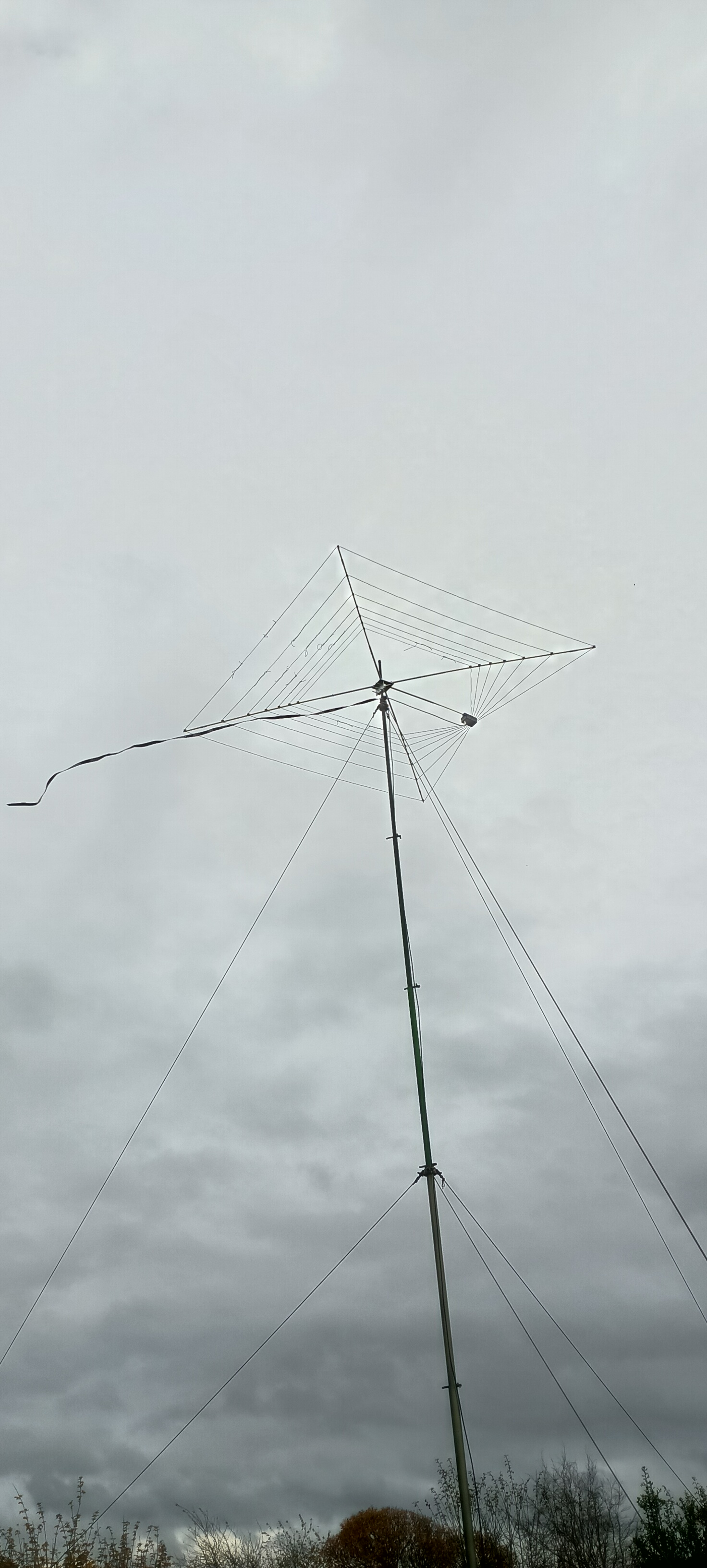 Cobweb on Clarke mast